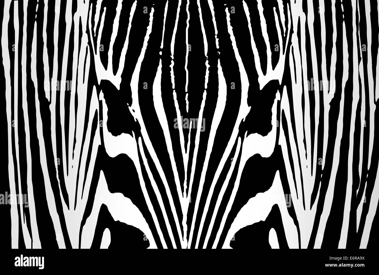 Sfondo di zebra Foto Stock