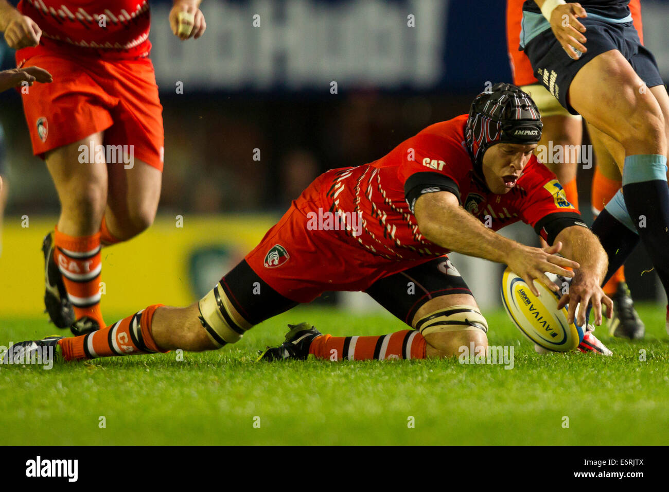 Leicester, Regno Unito. Il 29 agosto, 2014. Leicester Tigers rispetto a Cardiff Blues. Giuliano Salvi (Leicester Tigers) recupera la palla sul pavimento. Credito: Azione Sport Plus/Alamy Live News Foto Stock