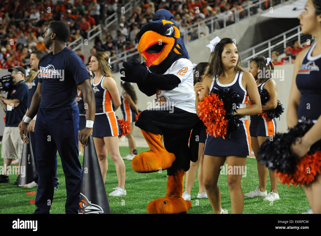 Houston, Texas, Stati Uniti d'America. Il 29 agosto, 2014. UTSA Roadrunners mascotte durante la prima metà di un NCAA Football gioco tra l'Università di Houston Cougars e il UTSA Roadrunners a TDECU Stadium di Houston, TX su agosto 29th, 2014. Credito: Trask Smith/ZUMA filo/Alamy Live News Foto Stock