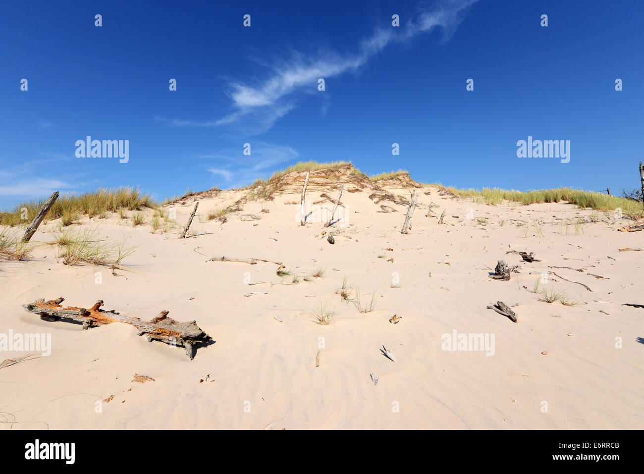 Il paesaggio del deserto Parco Nazionale di Slowinski Polonia Mar Baltico Foto Stock