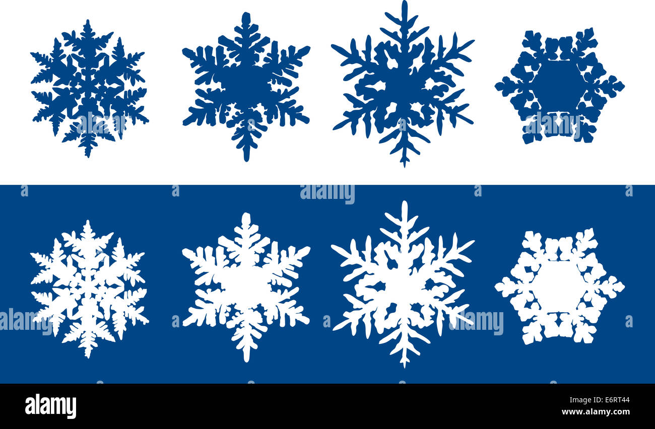 I fiocchi di neve - sei singoli fiocchi di neve con esclusive strutture esagonali. Foto Stock