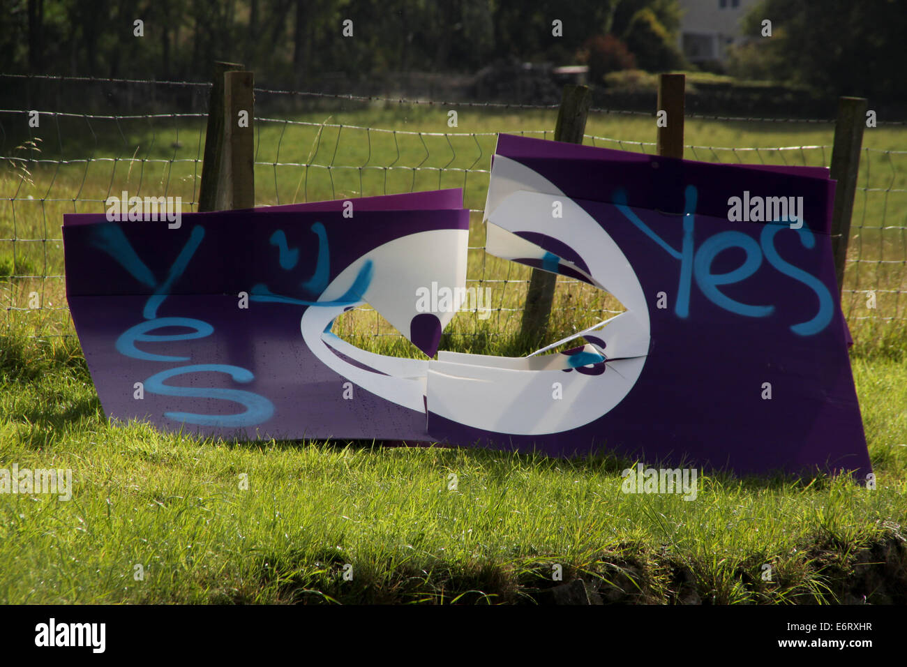 Blanefield, Strathblane e Milngavie Scozia il 30 agosto 2014. In un apparentemente sempre più brutta campagna referendaria votare sì sostenitori distruggere e sfigurare nessuna campagna cartelloni attraverso Stirlingshire e East Dunbartonshire. Credito: ALAN OLIVER/Alamy Live News Foto Stock