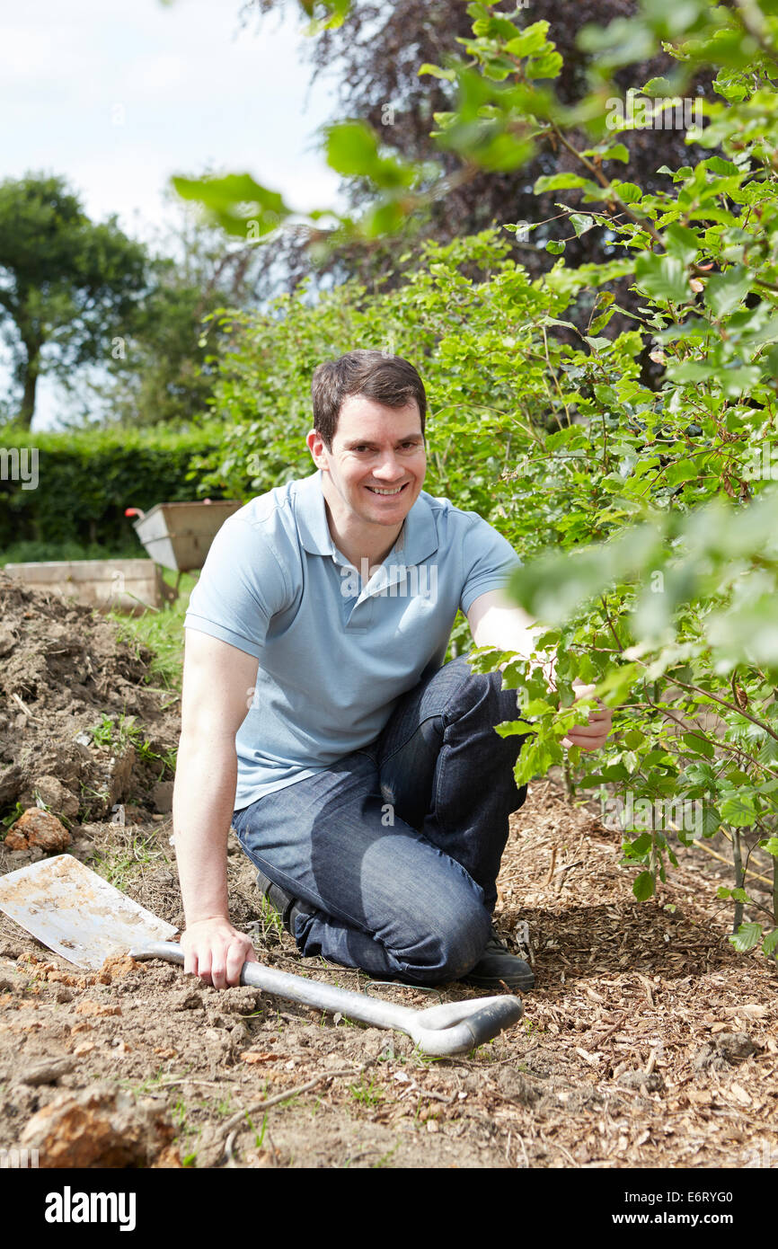 Paesaggio giardiniere Semina Hedge Foto Stock