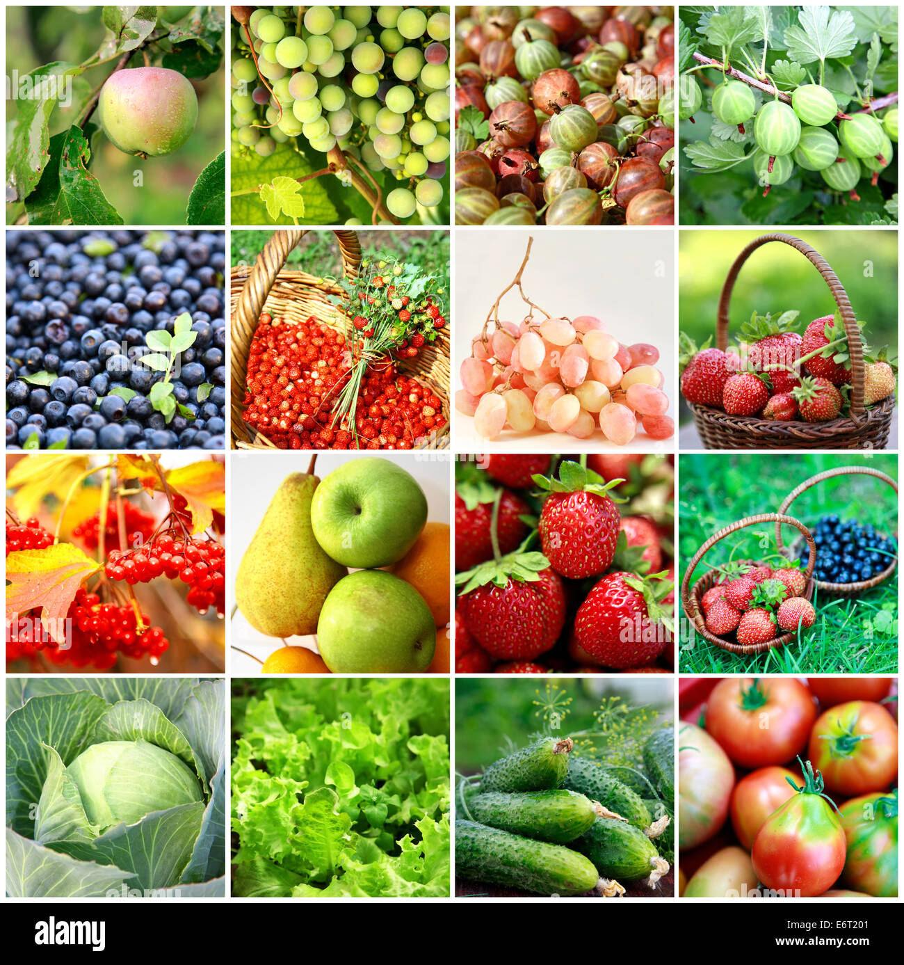 Frutta fresca e verdure, frutti di bosco Foto Stock