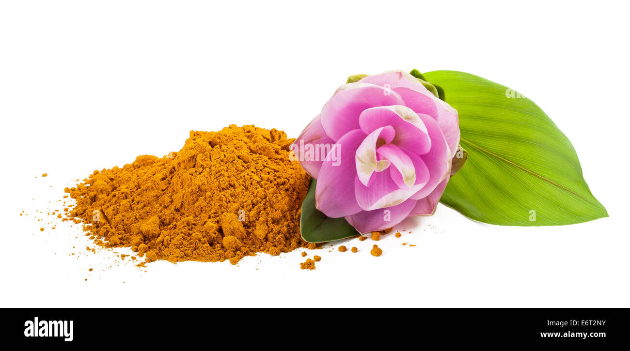 Curcuma fiore e polvere isolata su bianco Foto Stock