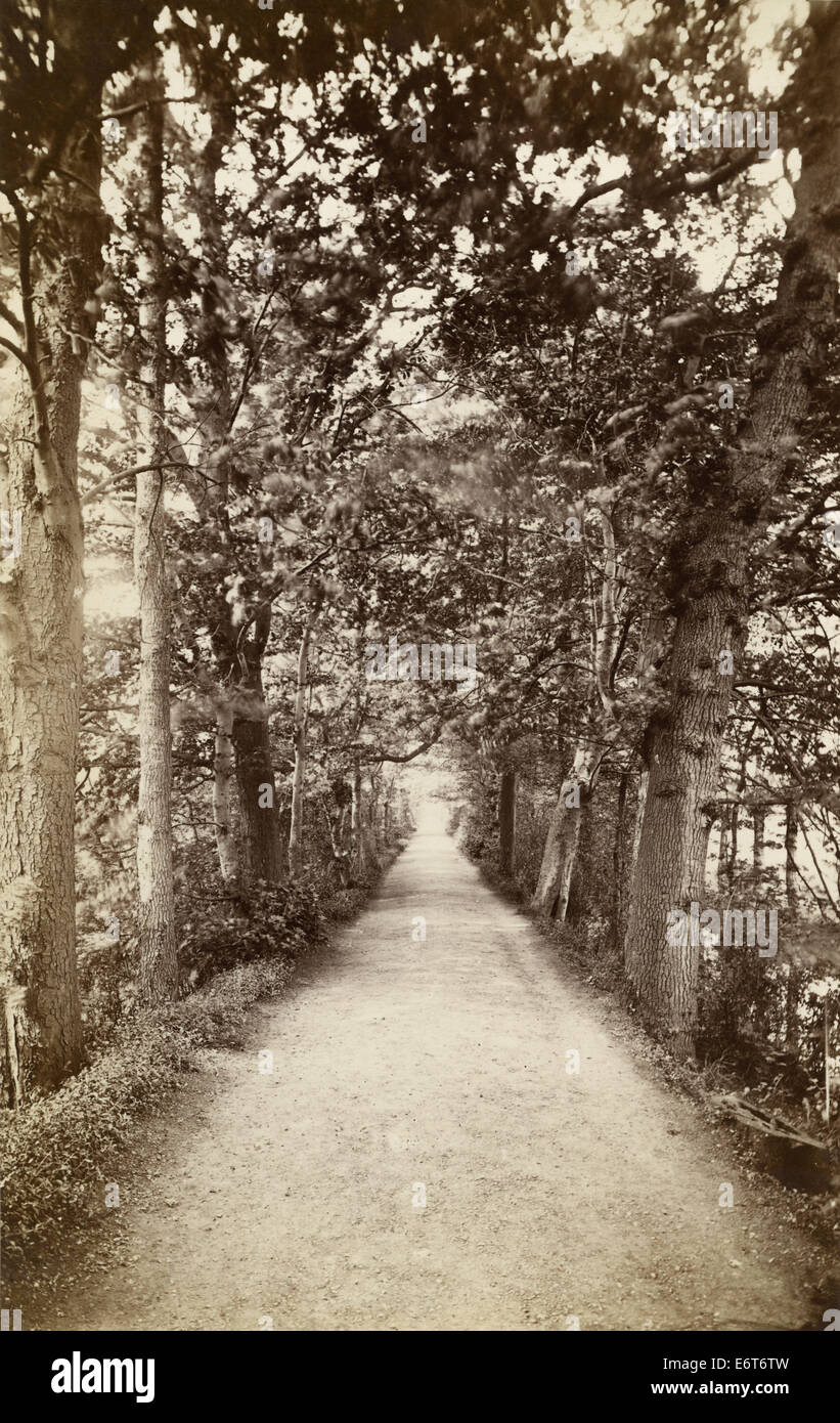 Addison a piedi, il Magdalen College di Oxford, Inghilterra. (Sito di una famosa CS Lewis e JRR Tolkein conversazione in 1931). Foto Stock