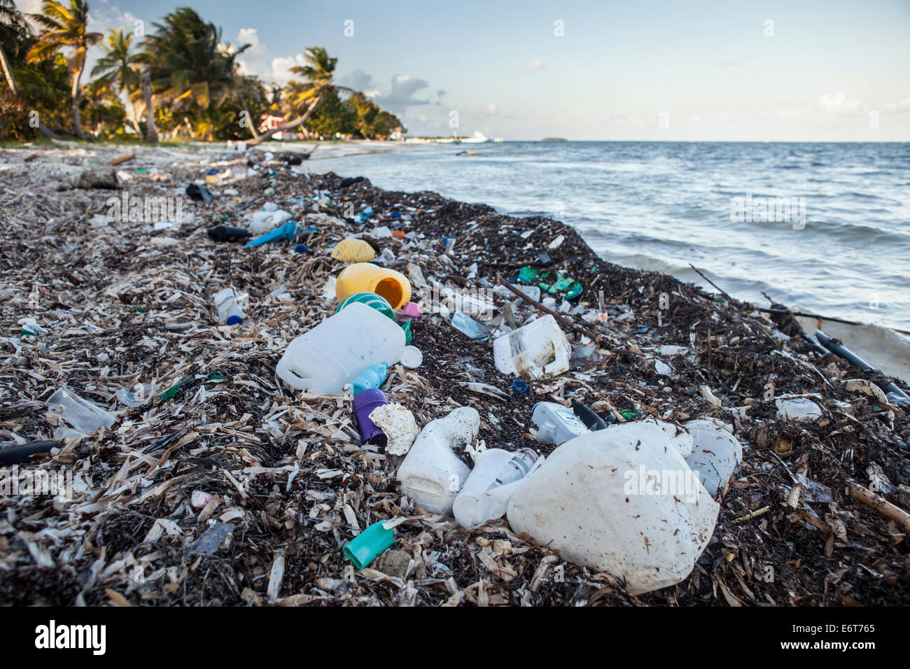 Rifiuti di plastica lavati fino a riva, Turneffe Atoll, dei Caraibi, del Belize Foto Stock