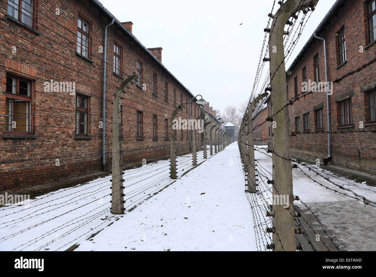 Caserma residenziale presso il Memoriale di Auschwitz-Birkenau all'Olocausto nazista in Polonia Foto Stock