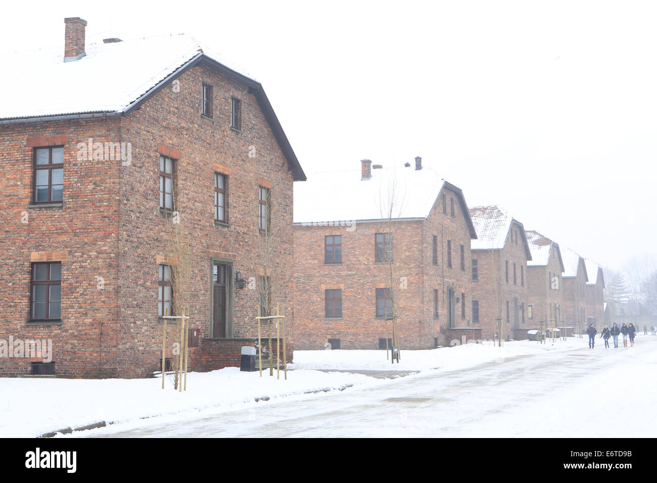 Caserma residenziale presso il Memoriale di Auschwitz-Birkenau all'olocausto perpetrato dalla Germania nazista Foto Stock