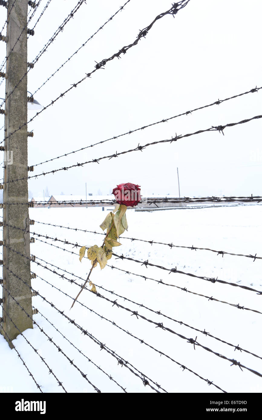 La concentrazione di Auschwitz-Birkenau e sterminio camp in inverno Foto Stock