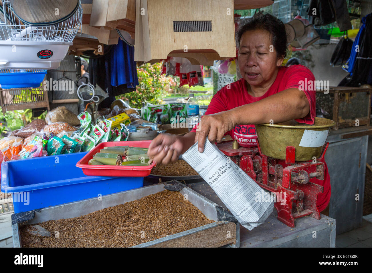 Yogyakarta, Java, Indonesia. Vermi venduti dall'Bagfull come alimenti per uccelli Bird Market. Foto Stock