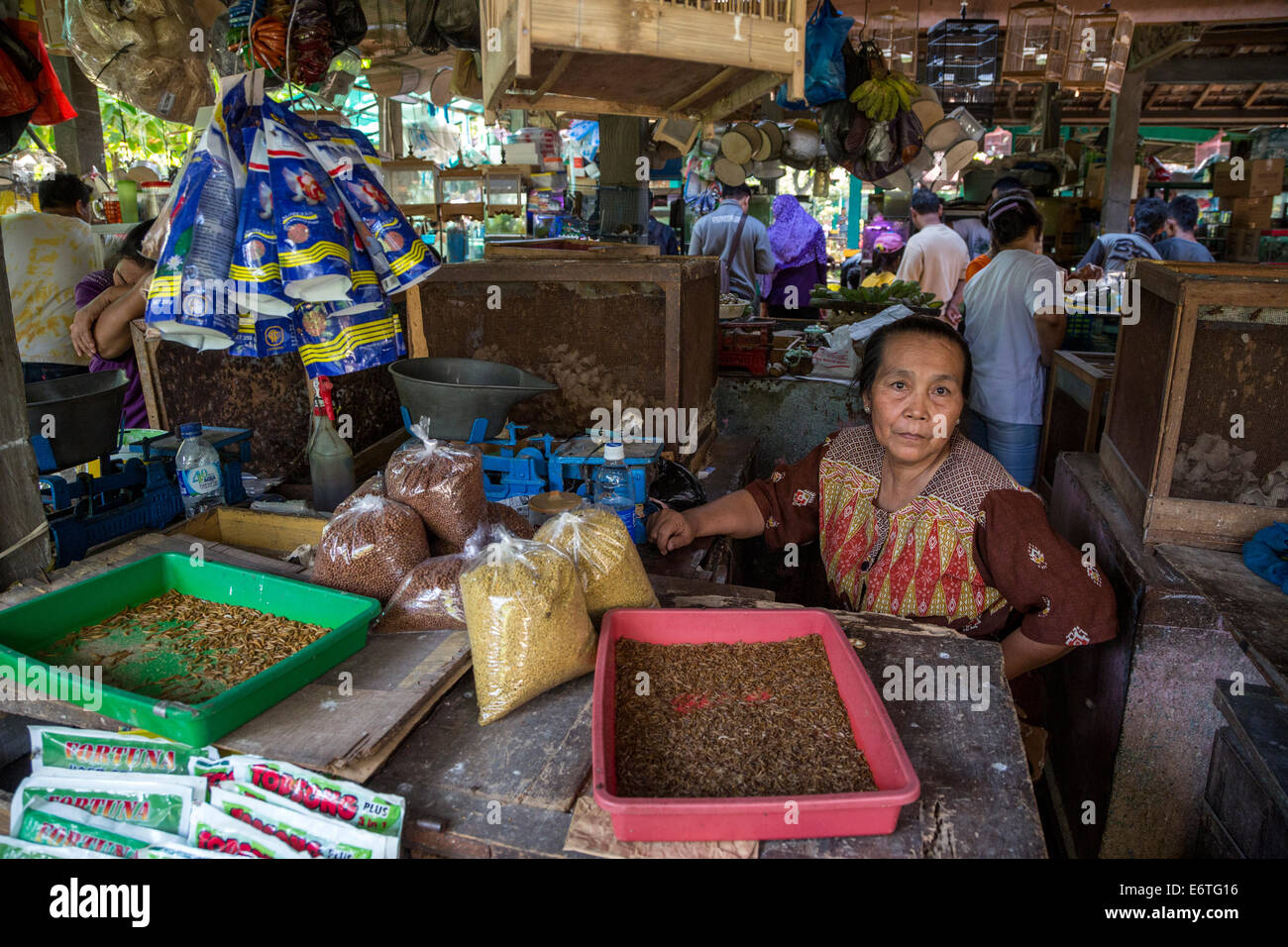 Yogyakarta, Java, Indonesia. Donna vendita di vermi e di altri alimenti per uccelli nel mercato degli uccelli. Foto Stock
