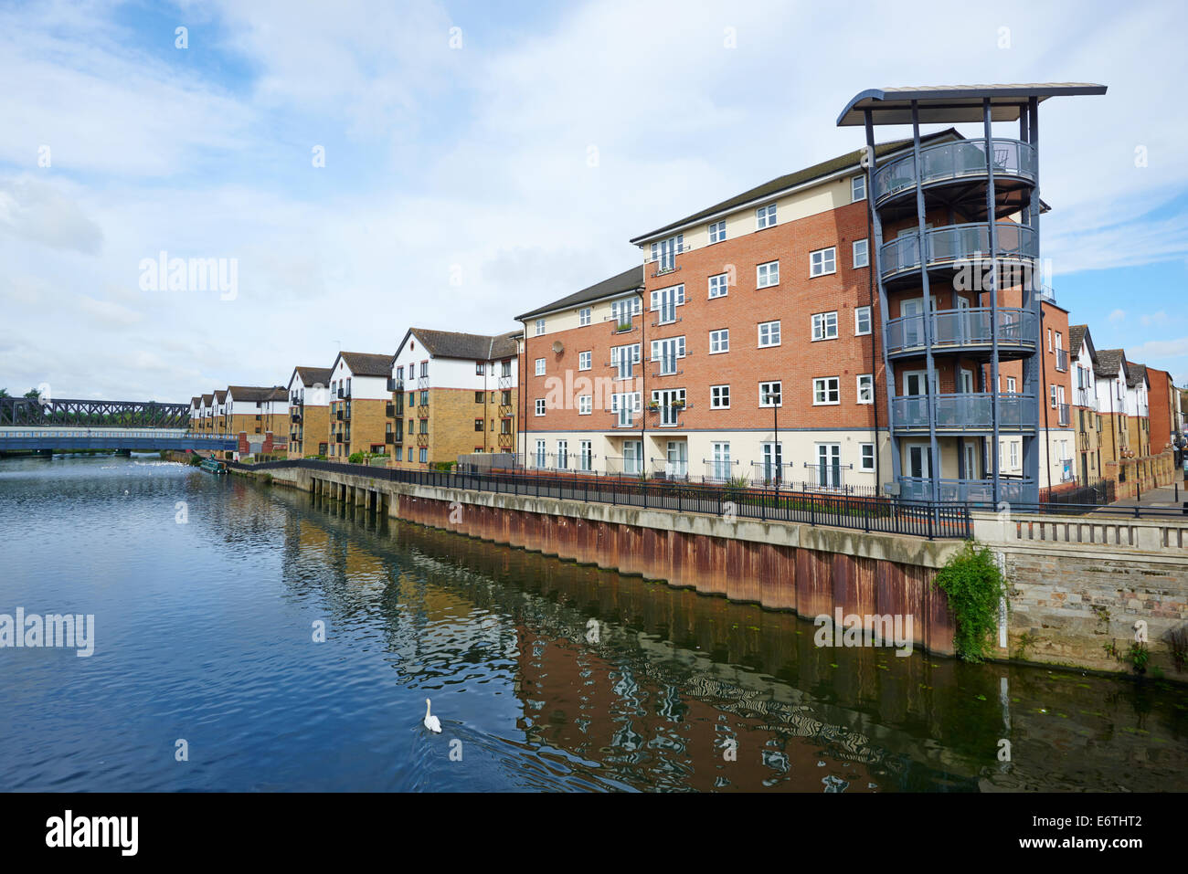 Moderni appartamenti o appartamenti a fianco del fiume Nene preso dalla città ponte Peterborough Cambridgeshire Regno Unito Foto Stock