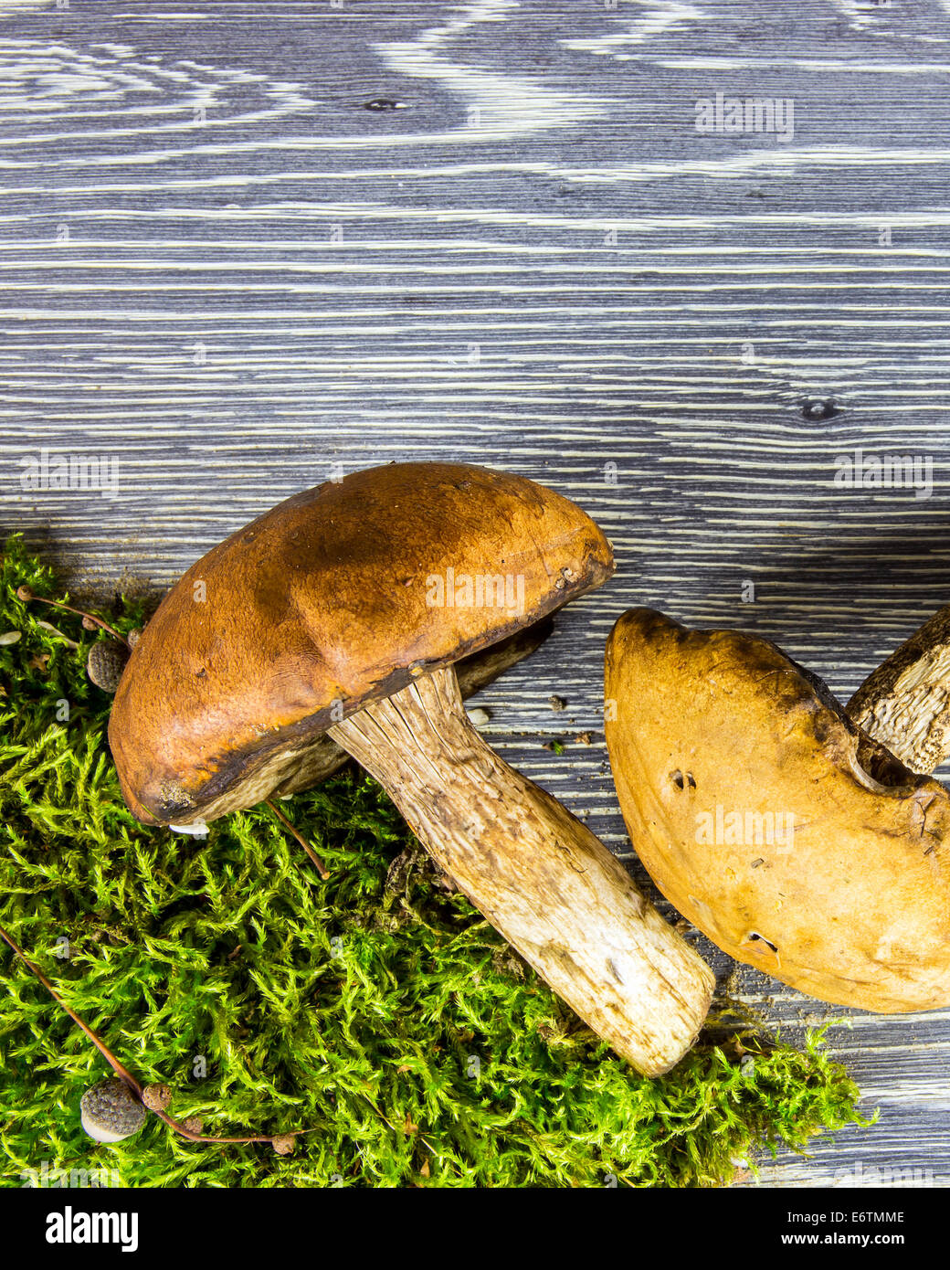 Fresco di funghi della foresta contro lo sfondo di legno Foto Stock