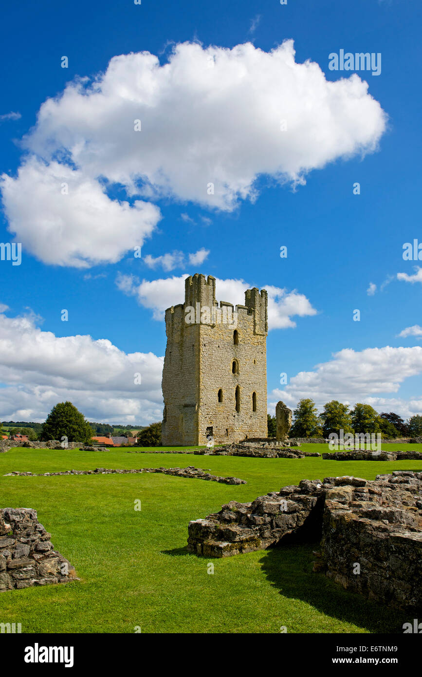 Castello di Helmsley, North Yorkshire, Inghilterra, Regno Unito Foto Stock