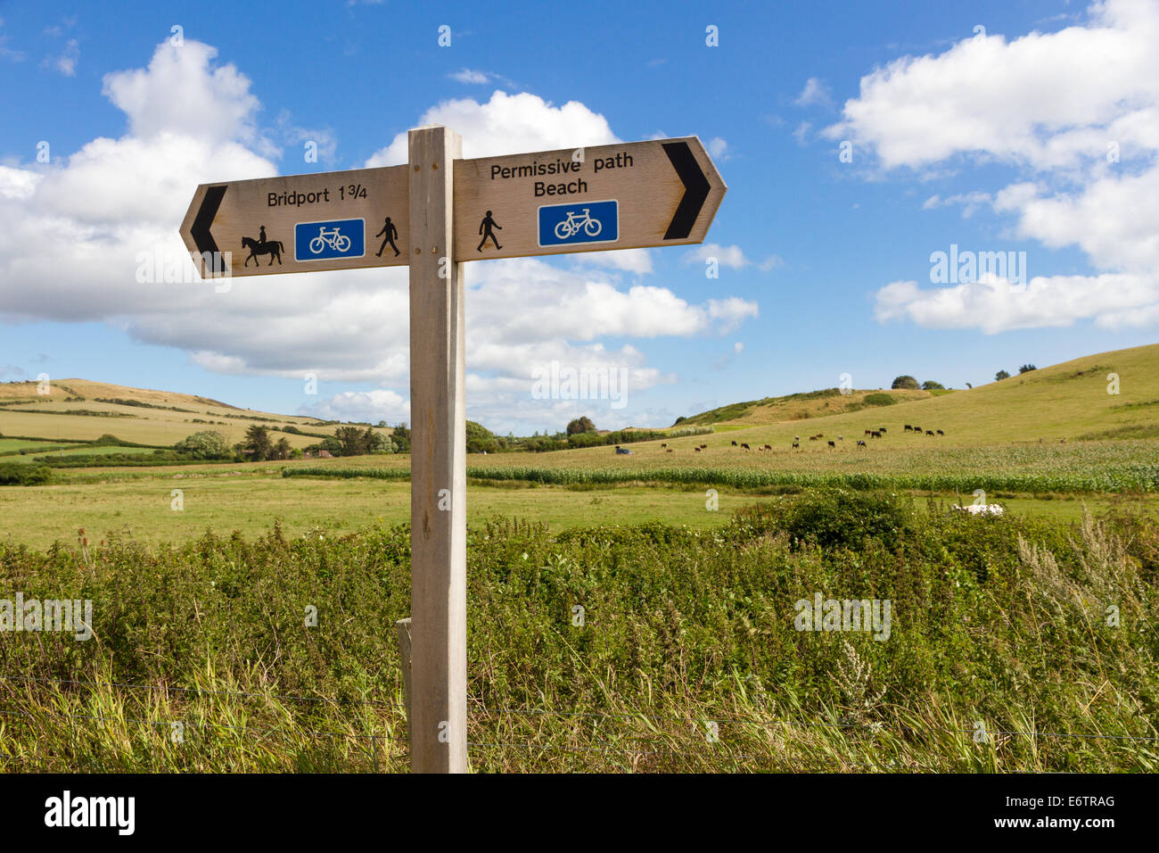 Legno segno direzionale in West Bay, Bridport, Dorset. Foto Stock
