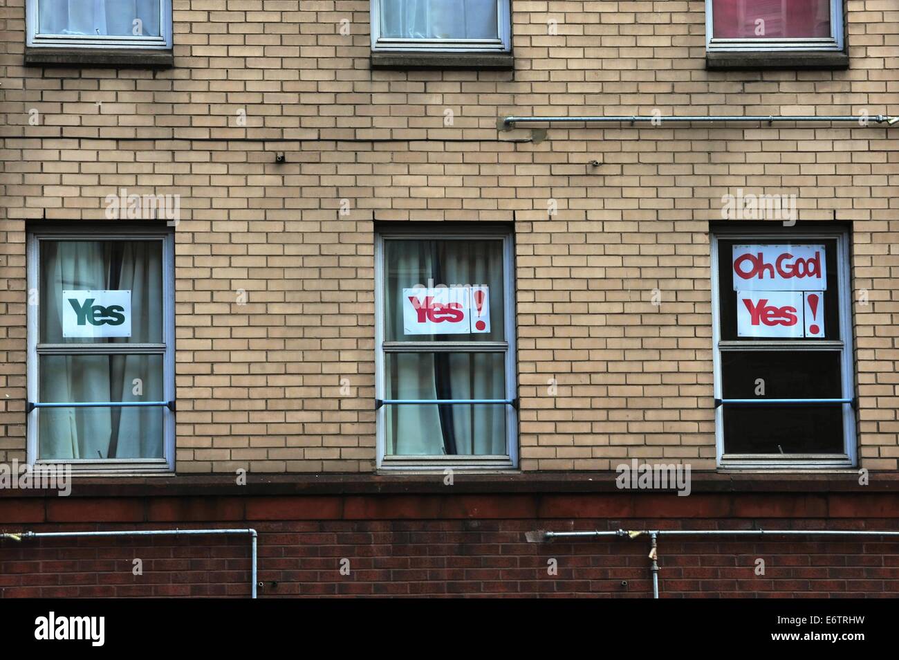 Glasgow, Scotland, Regno Unito. 31 Agosto, 2014. Poster su una finestra di Glasgow e proclamare il supporto per un sì voto per l indipendenza nel referendum Credito: Tony Clerkson/Alamy Live News Foto Stock