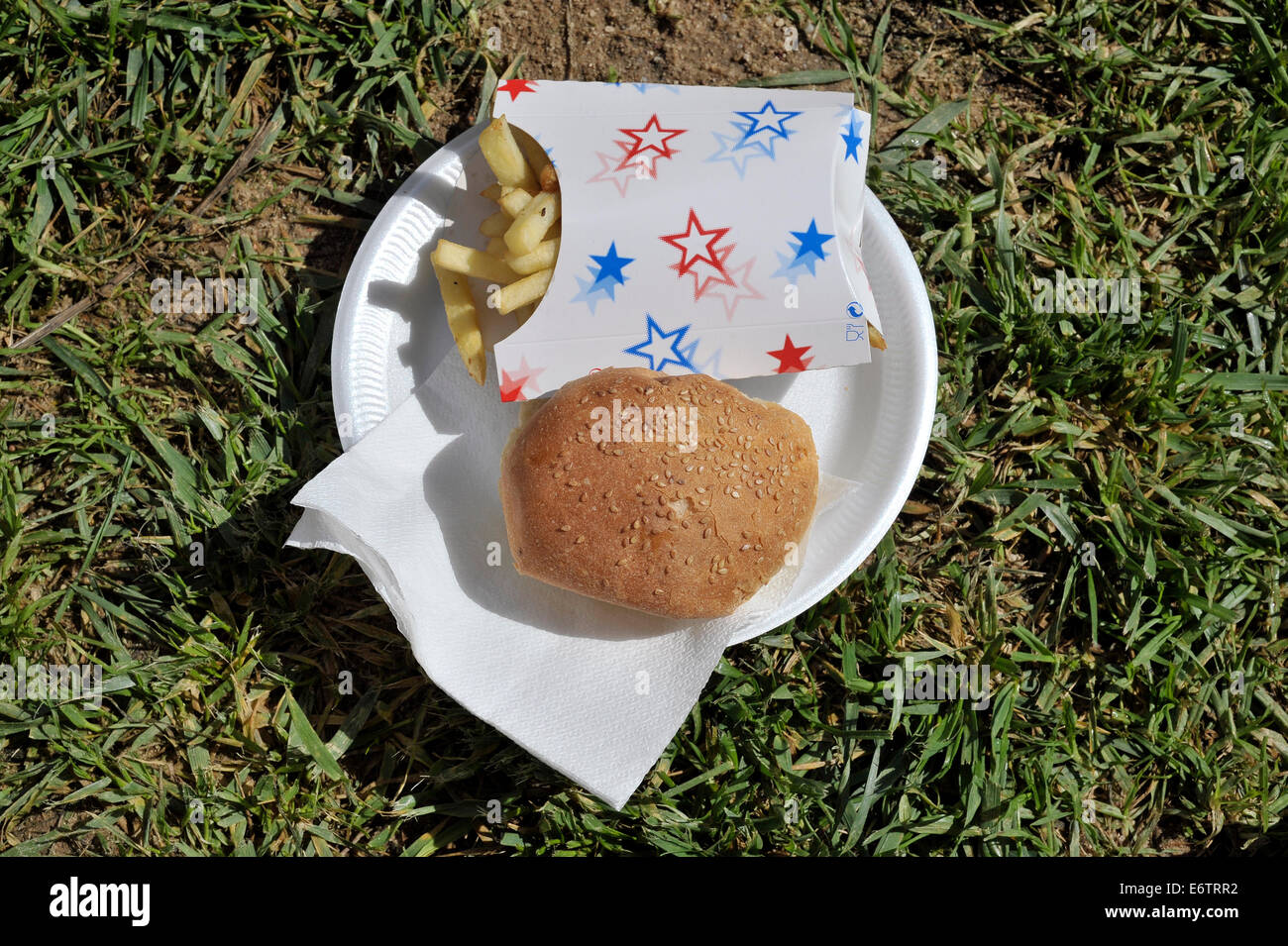 Takeaway hamburger e patatine Foto Stock
