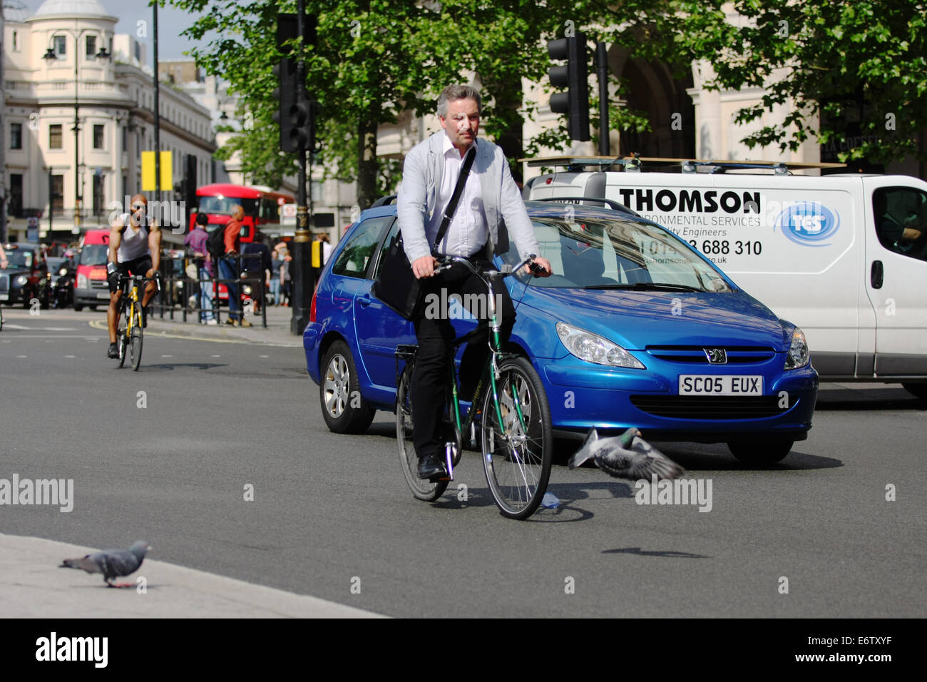 Un piccione evitando un ciclista che sopraggiungono e auto a Londra Foto Stock