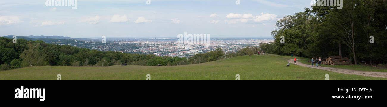 Vista aerea sopra la città di Vienna dal Wiener blick a lainzer tiergarten Foto Stock