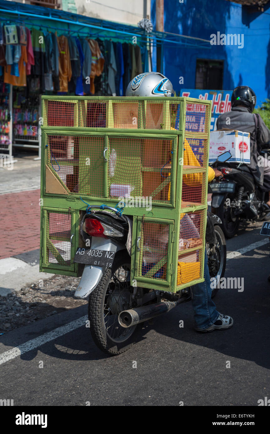 Yogyakarta, Indonesia. Moto, il traffico della strada. Gabbie per il trasporto di uccelli o altri animali di piccola taglia. Foto Stock