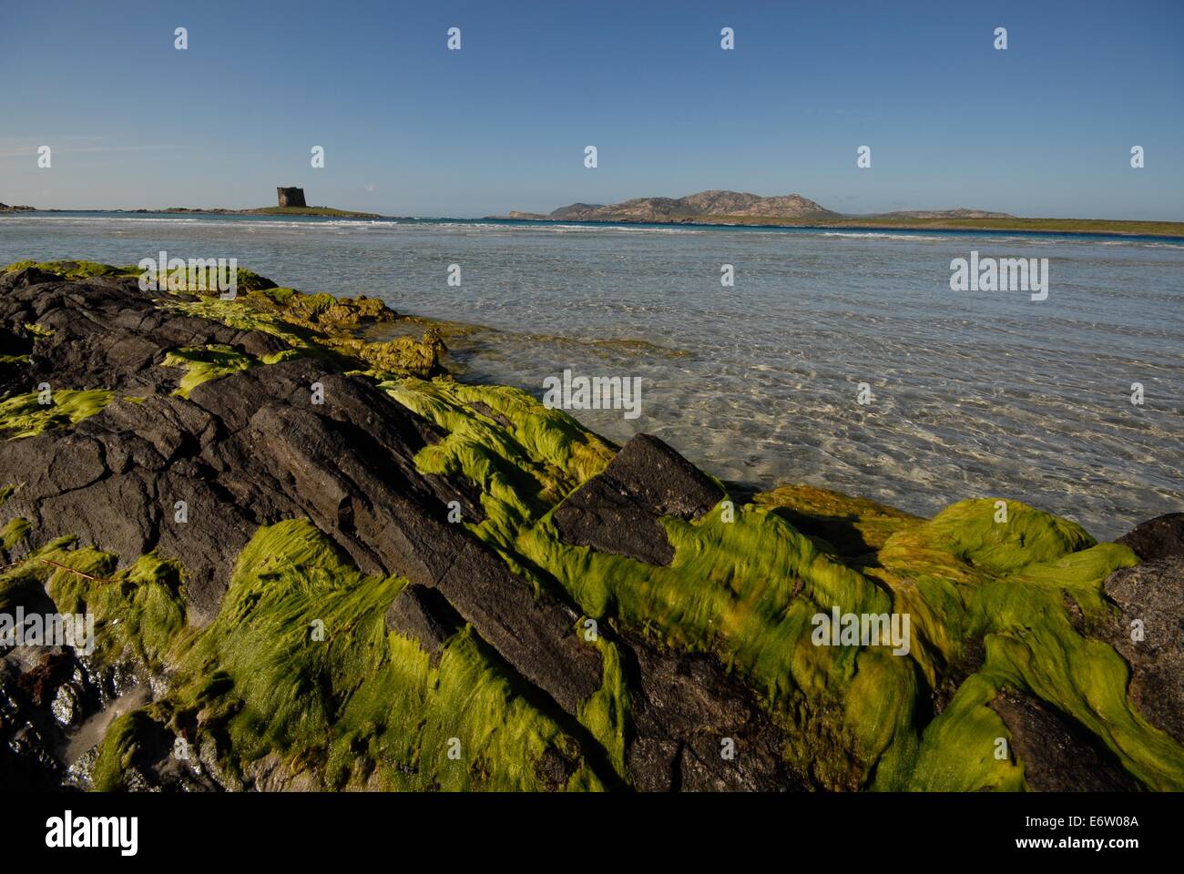 Costa della Sardegna con acqua turchese e rocce con alghe marine Foto Stock