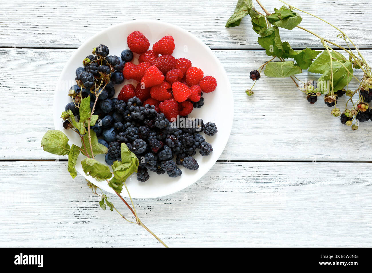 Frutti di bosco freschi su una piastra, cibo closeup Foto Stock