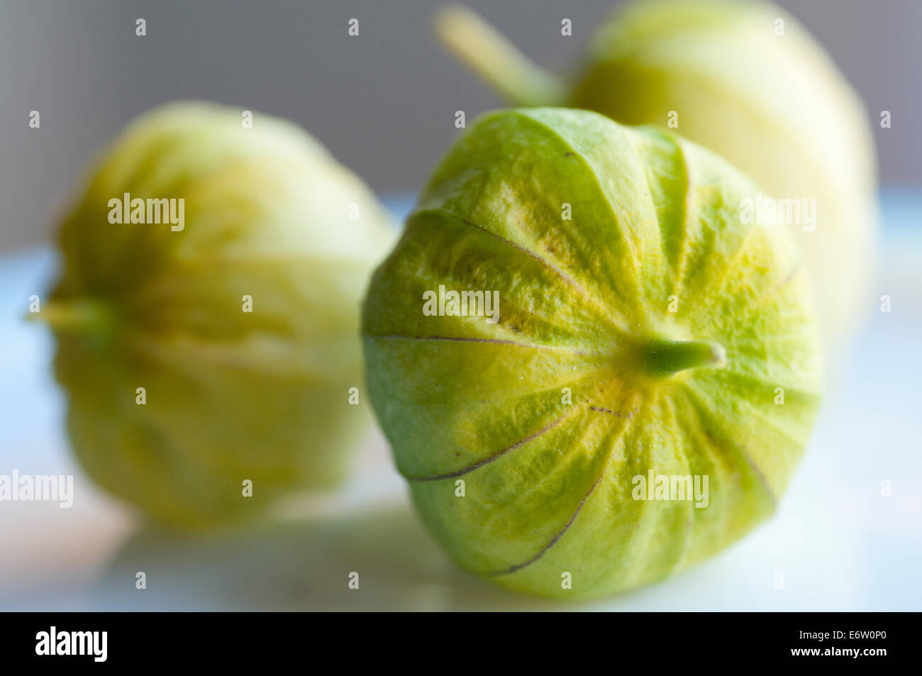 Tomatillos verde salsa verde ingrediente Foto Stock