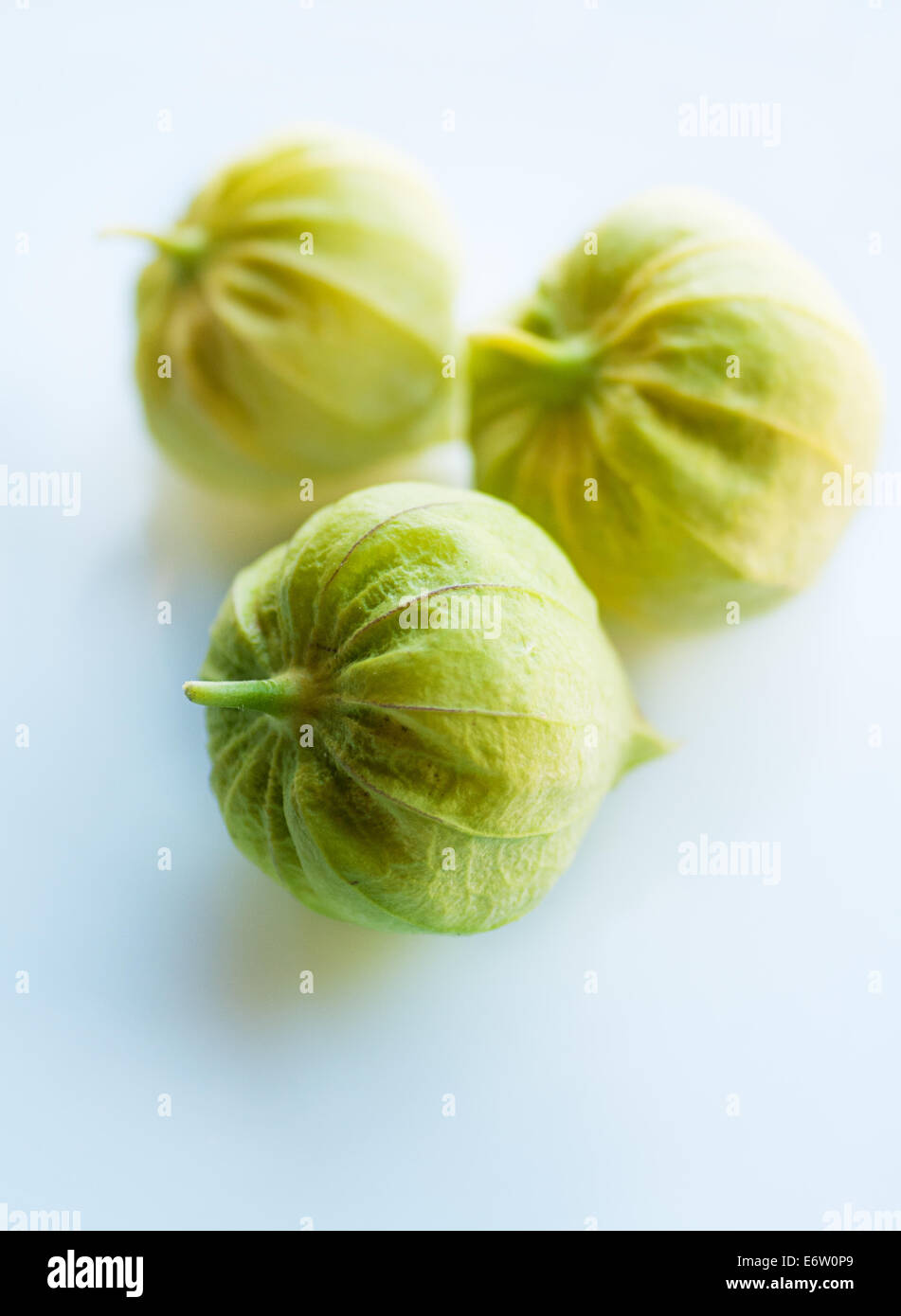 Tomatillos verde salsa verde ingrediente Foto Stock