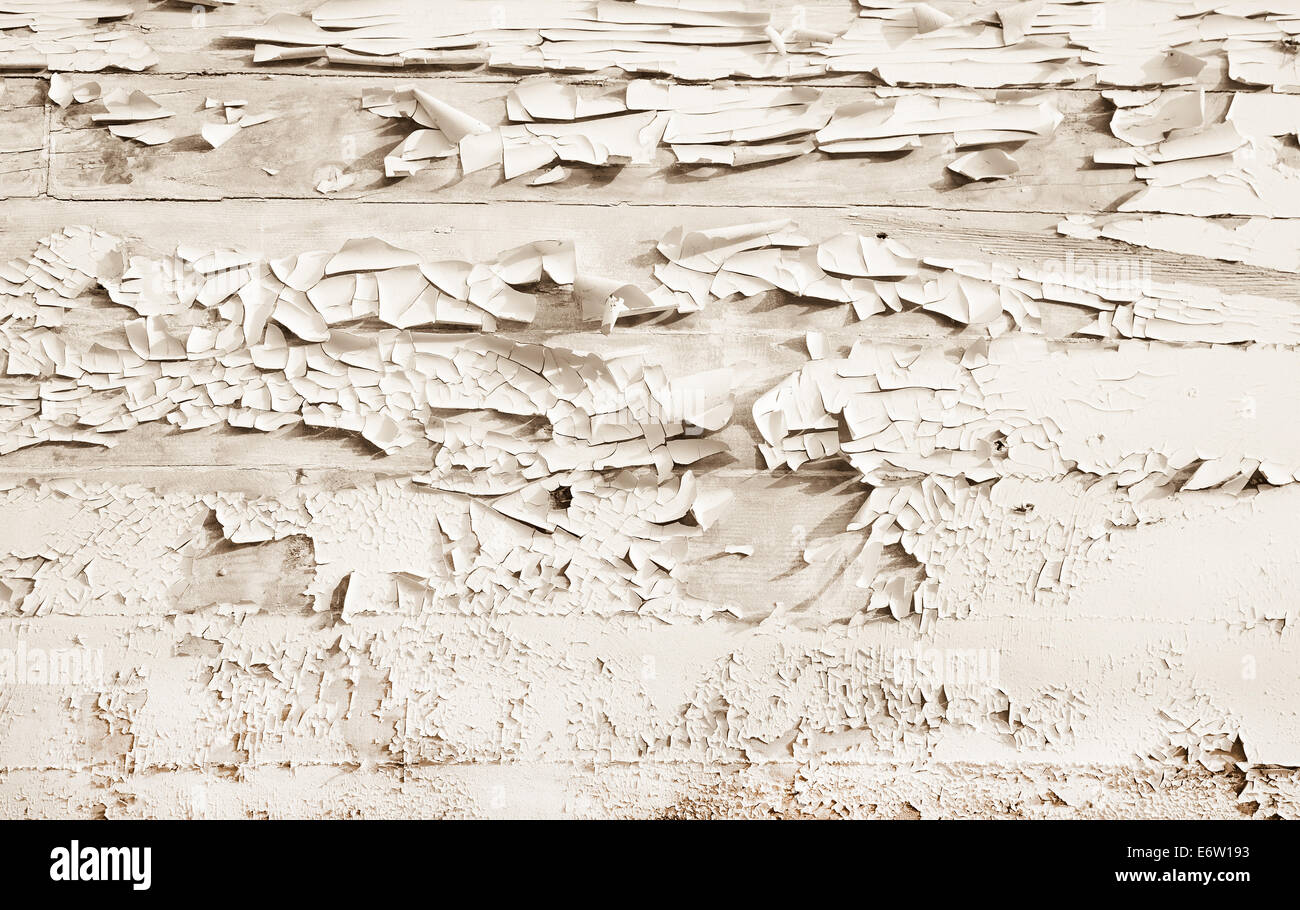 Shabby chic stile vintage o di sfondo di colore bianco o beige legno. Foto Stock