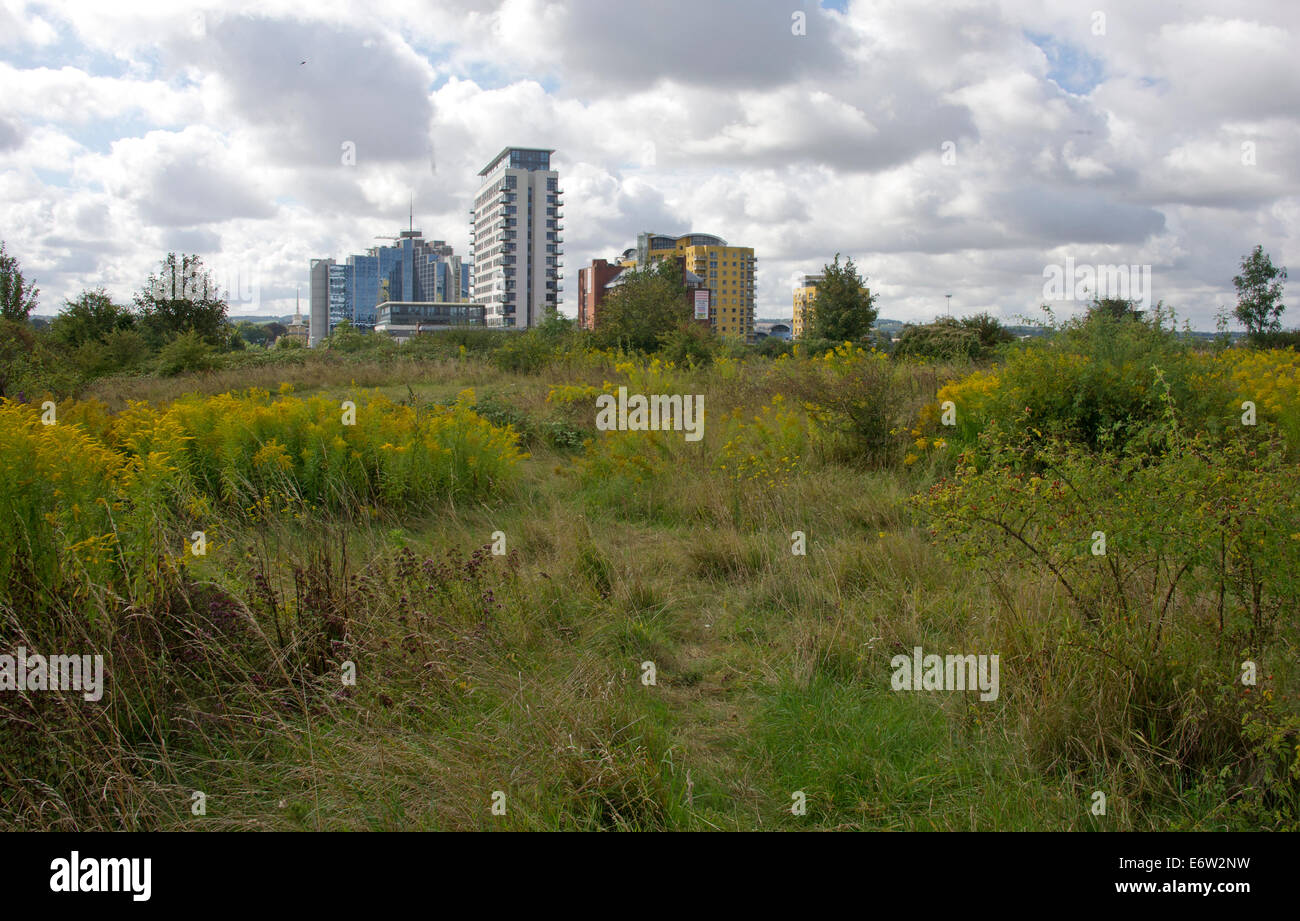 Vista di Basingstoke Hampshire, da un prato Foto Stock