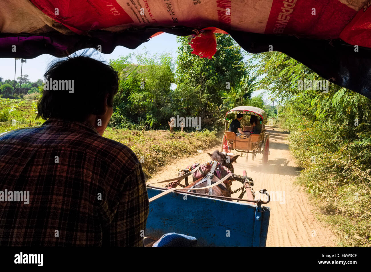 Carrozze trainate da cavalli, Inwa, Myanmar, Asia Foto Stock