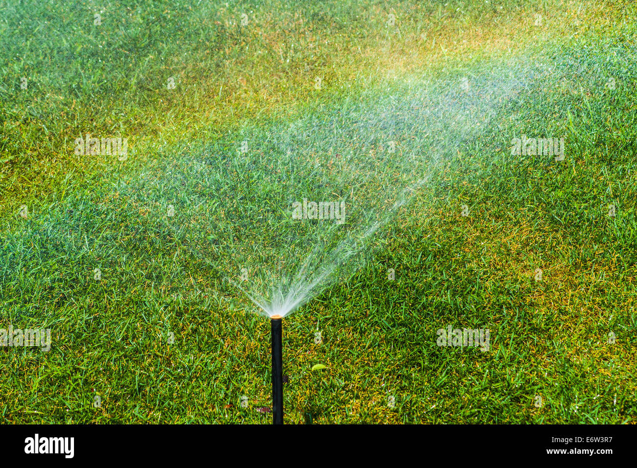 Tubo di sprinkler a sinistra per irrigare il verde prato Foto Stock