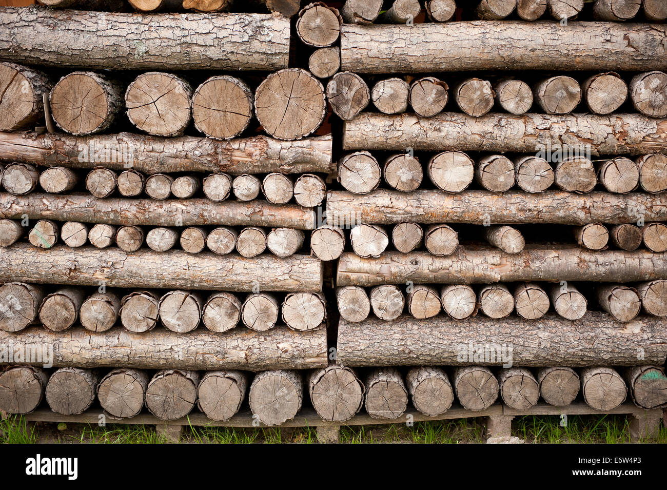 Molti tagliare frammenti di legno heap Foto Stock