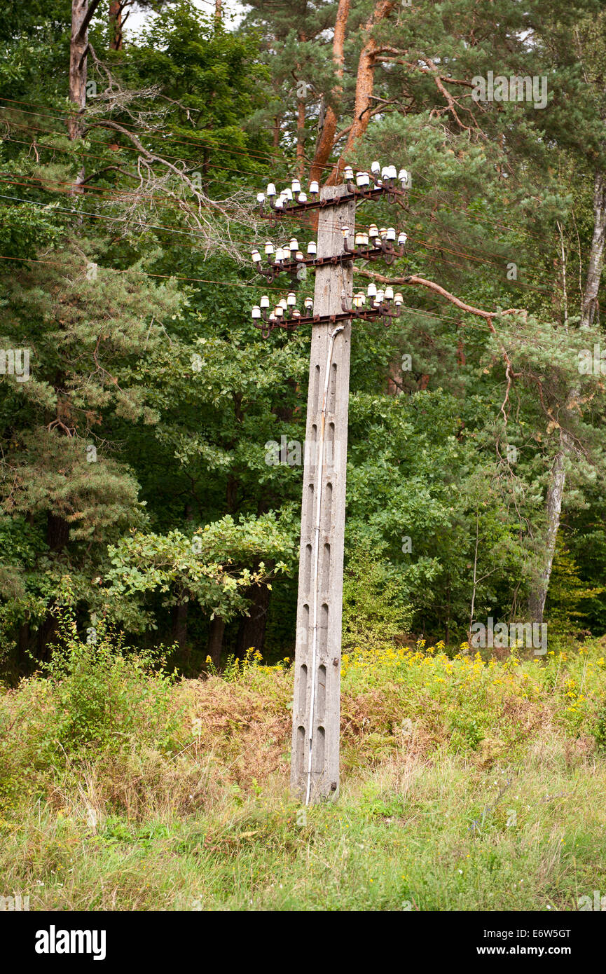 Calcestruzzo vecchio telefono pole di boschi Foto Stock
