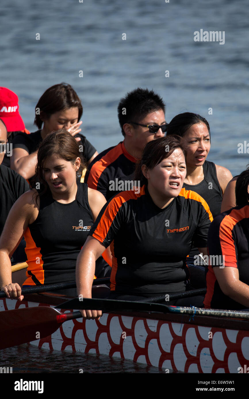 Londra, Regno Unito. 31 agosto 2014. Questo finale di stagione BDA Lega Nazionale regata di dragon boat racing si è tenuto presso il London Regatta Centre, Royal Albert Dock, Londra Foto Stock