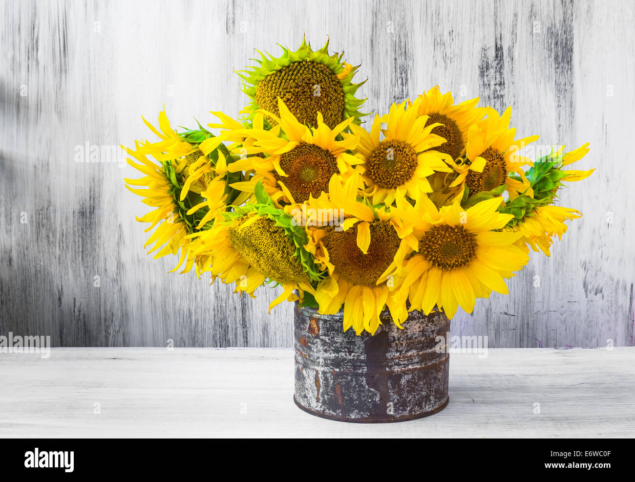 Ancora in vita. Bouquet di girasoli nella vecchia tin Foto Stock