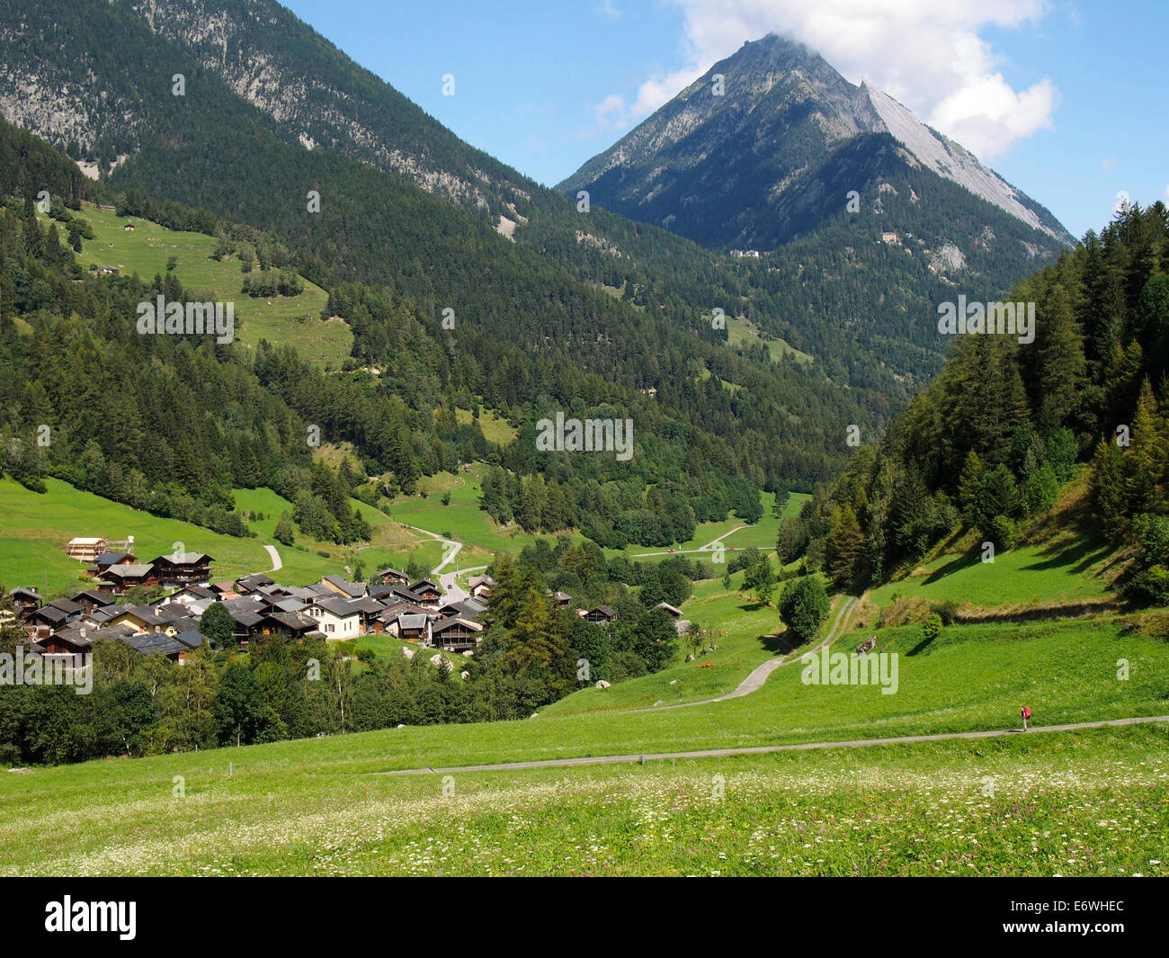 Tour di Mont Blanc vicino Issert, Val Ferret, Svizzera Foto Stock