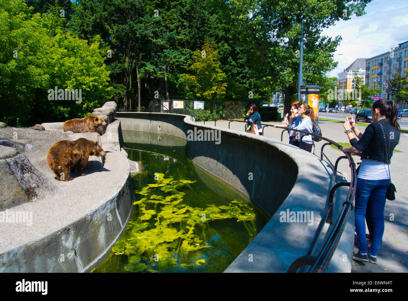 Reca in Zoo, il quartiere di Praga, Varsavia, Polonia, Europa Foto Stock