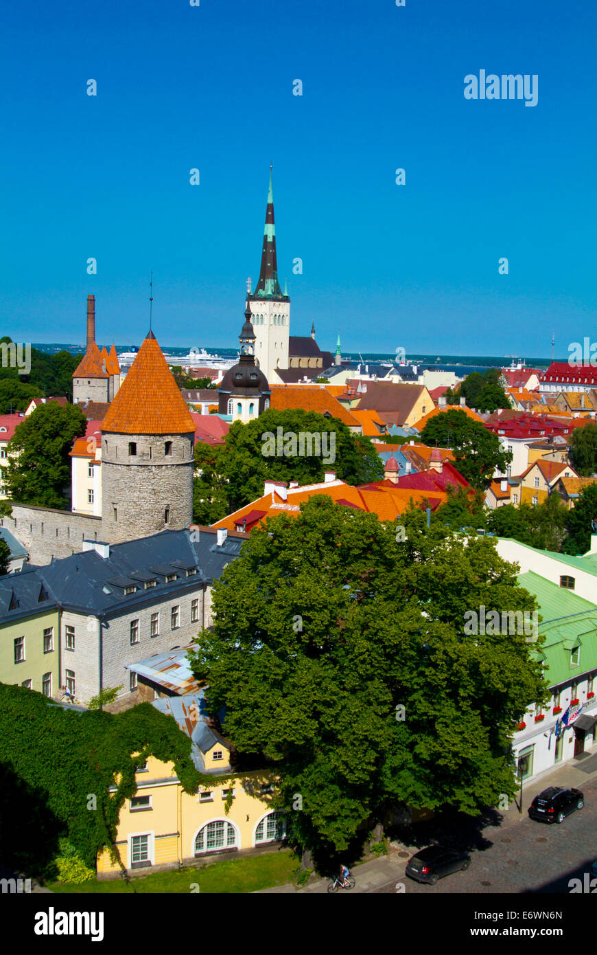 Città vecchia di Tallinn, Estonia, paesi baltici, Europa Foto Stock