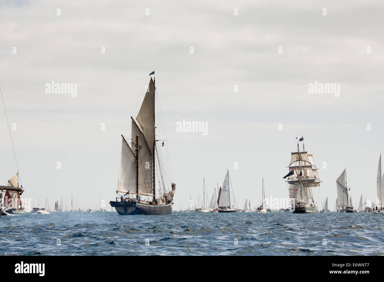 Tall Ships; Falmouth; Cornovaglia; Regno Unito; 2014 Foto Stock