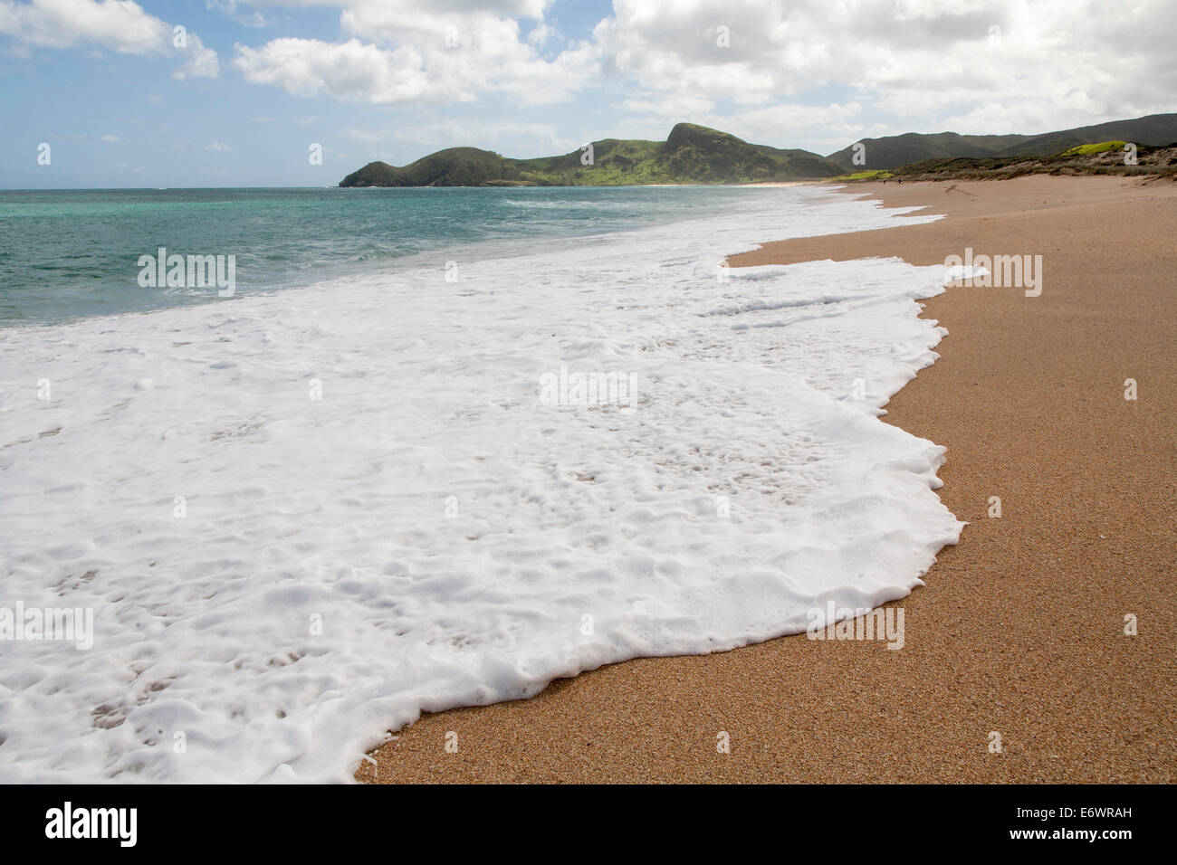 Spiaggia deserta con sabbia dorata, costa nord, nord Isola, Nuova Zelanda Foto Stock