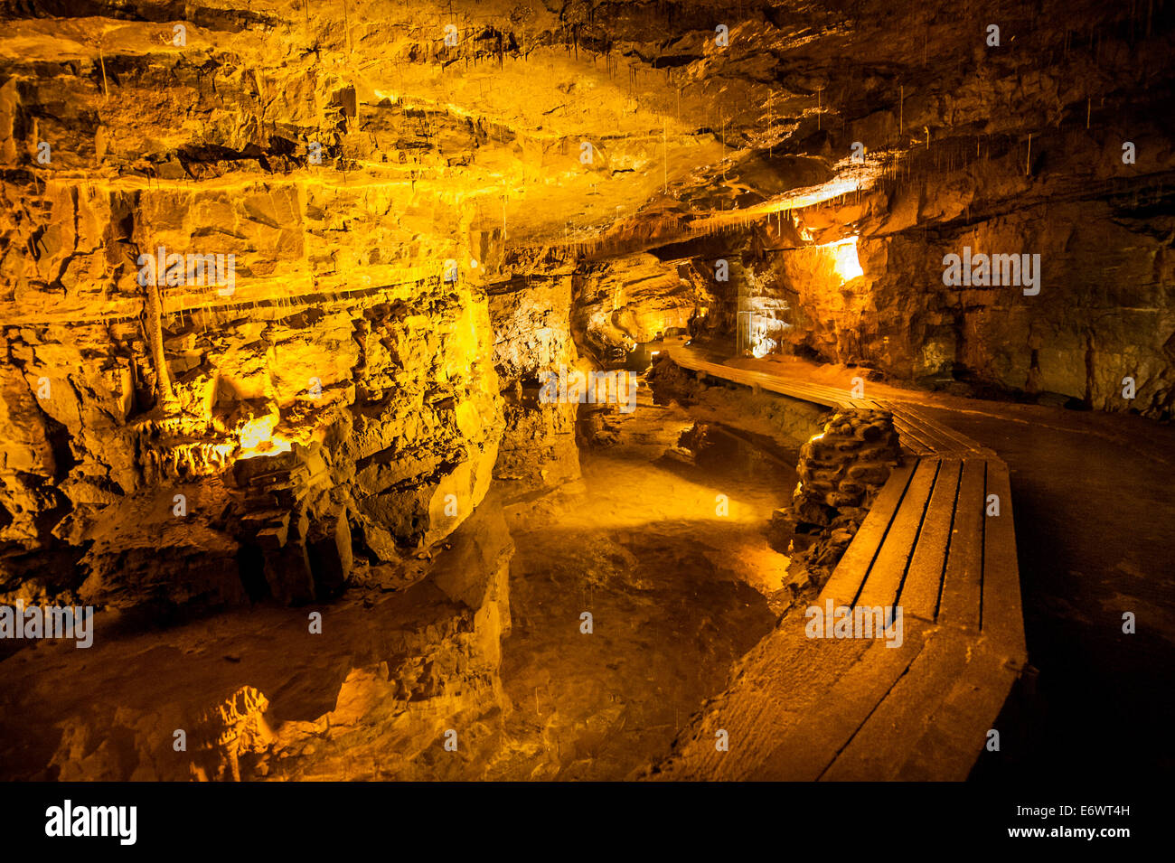 La Cattedrale grotta presso il National Showcaves Centro per il Galles, Abercrave, Swansea. Foto Stock