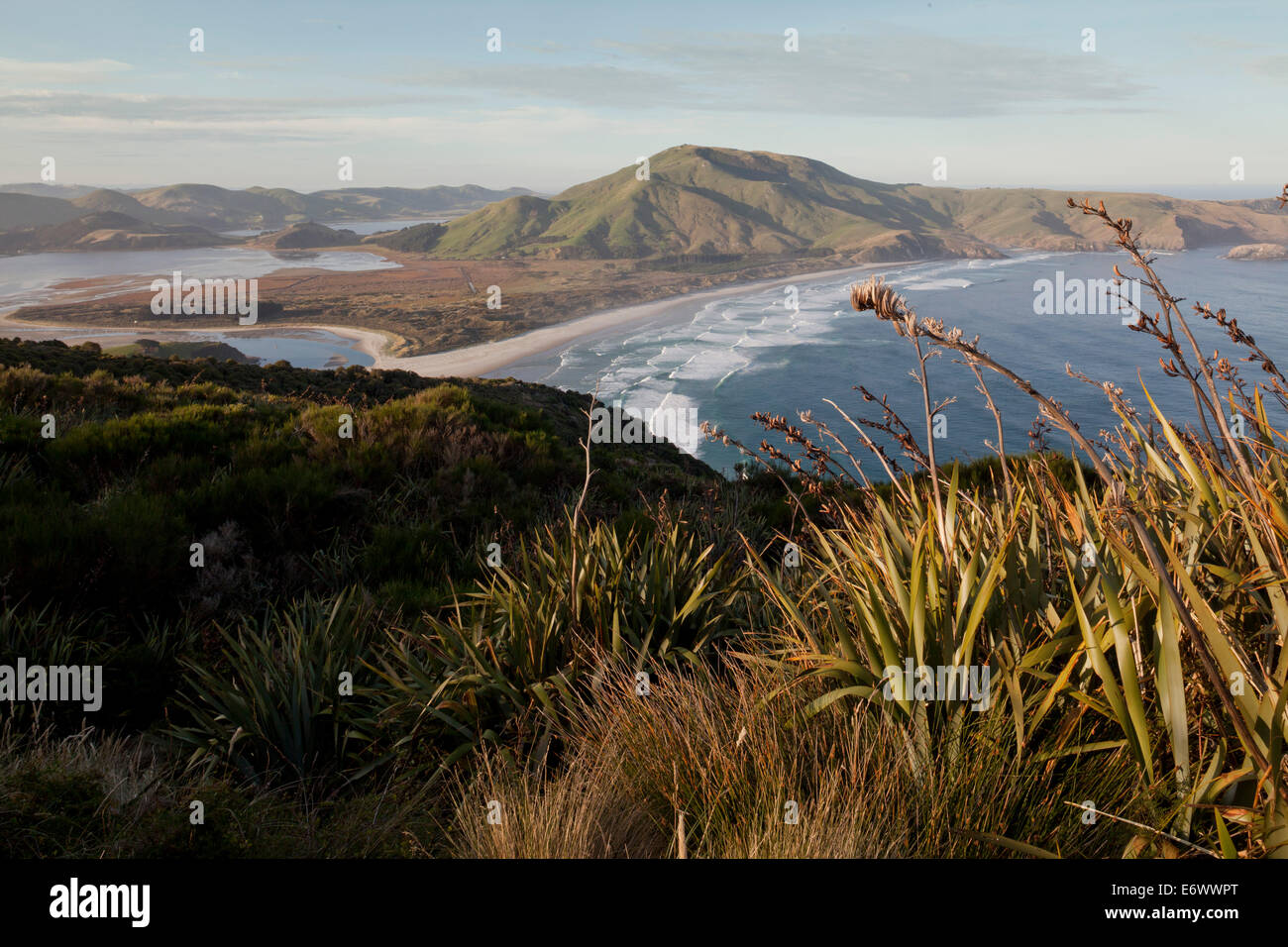 Vista sulla penisola di Otago con Allans spiaggia e ingresso Hoopers, Dunedin, Otago, Isola del Sud, Nuova Zelanda Foto Stock
