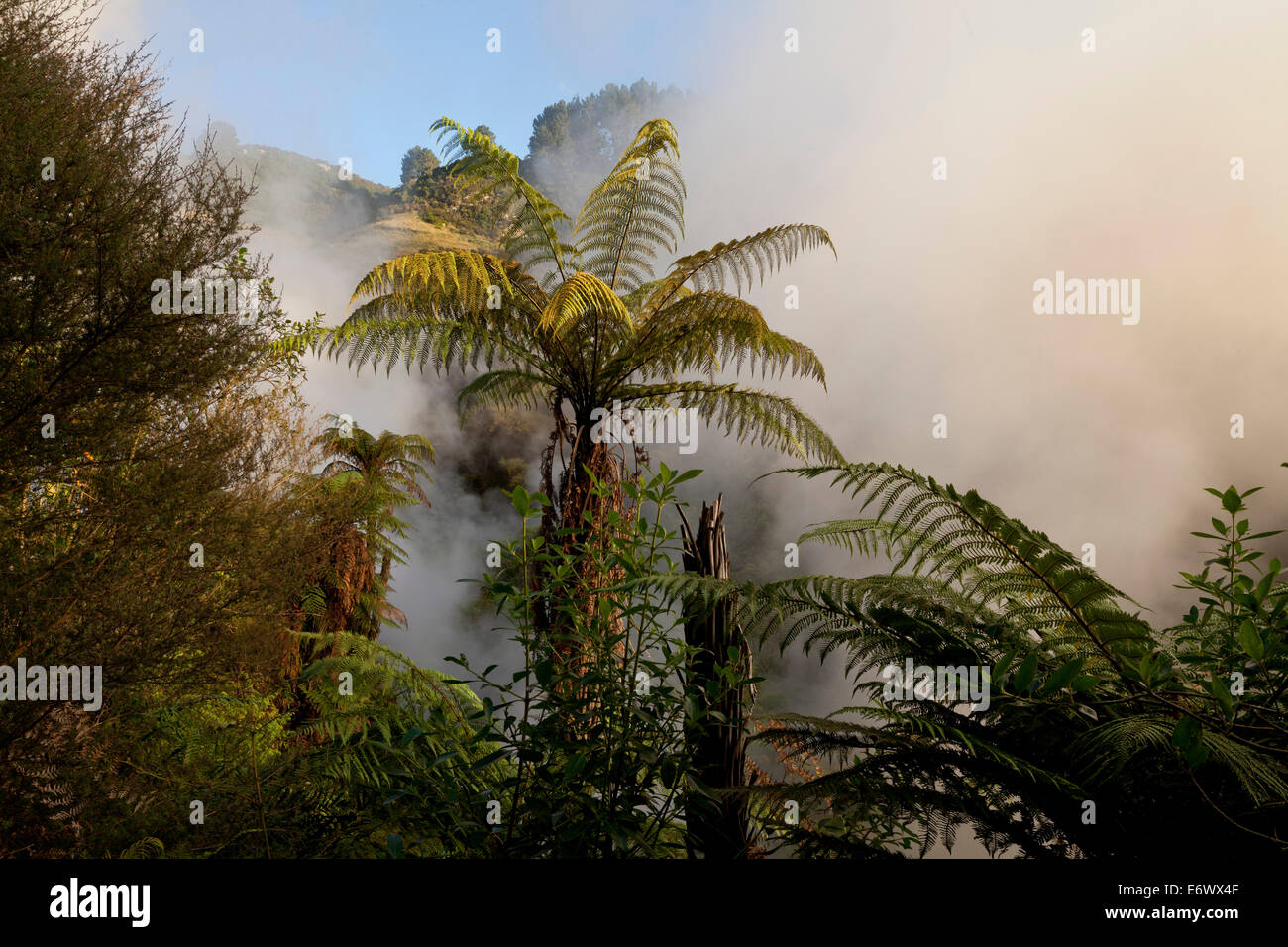 Sorgenti di acqua calda e di vapore dalle sorgenti termali, Waikite Valley piscine termali, Rotorua, Isola del nord, Nuova Zelanda Foto Stock