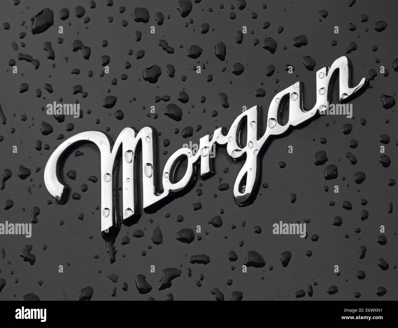 Badge sulla parte posteriore del Morgan Plus 8 sportscar, con gocce di pioggia sulla vernice Foto Stock