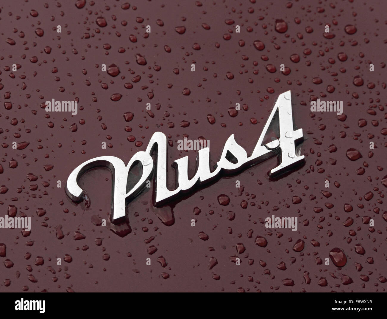 Badge sulla parte posteriore del Morgan Plus 4 sportscar, con gocce di pioggia sulla vernice Foto Stock