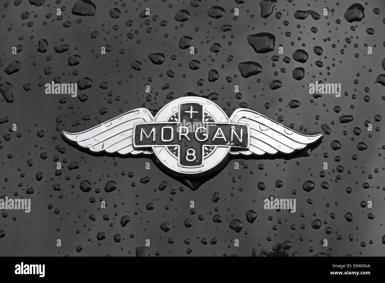 Badge su Morgan + 8 sportscar, con gocce di pioggia sulla vernice Foto Stock