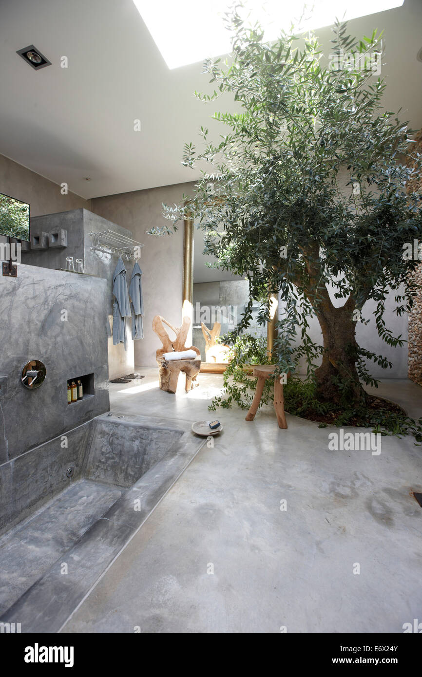 L'ulivo e la vasca in cemento in bagno, Hotel Areias do Seixo, Povoa de Penafirme, un-dos-Cunhados, Costa de Prata, Porto Foto Stock
