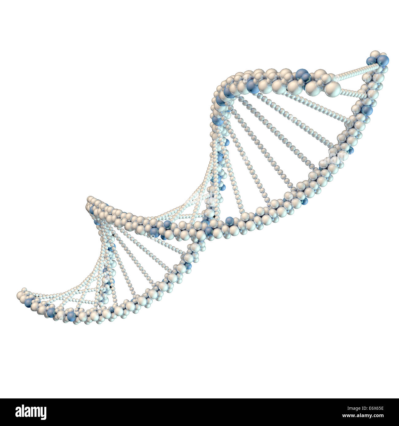 Illustrazione di bianco della catena di DNA Foto Stock